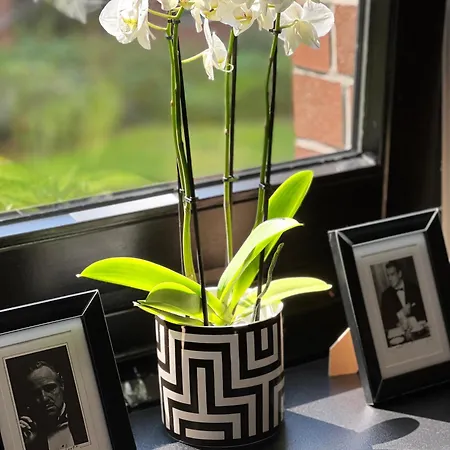 公寓 V & S Since 2023