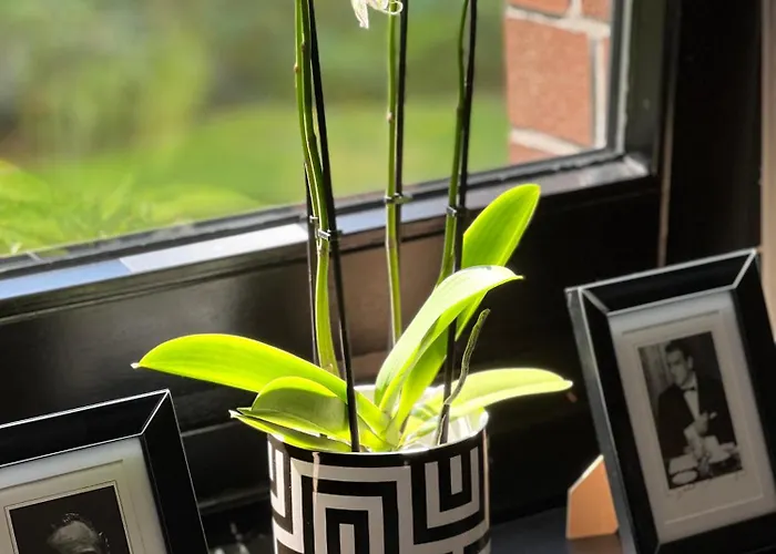 Lejlighed V & S Since 2023