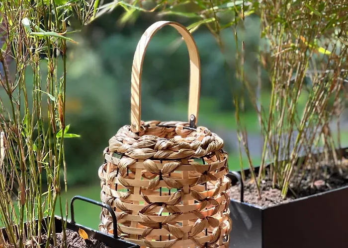 V & S Since 2023 Lejlighed Düsseldorf